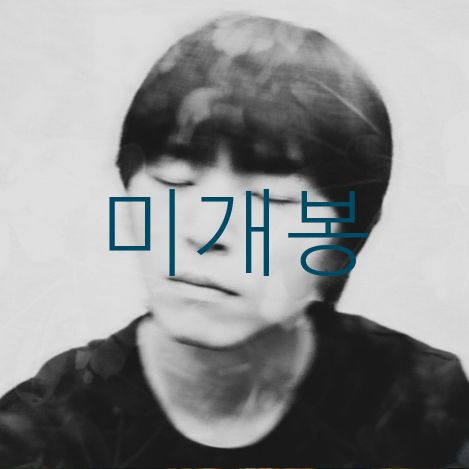 未開封 길찬호 ー 崩壊中 咲く （ CD ）