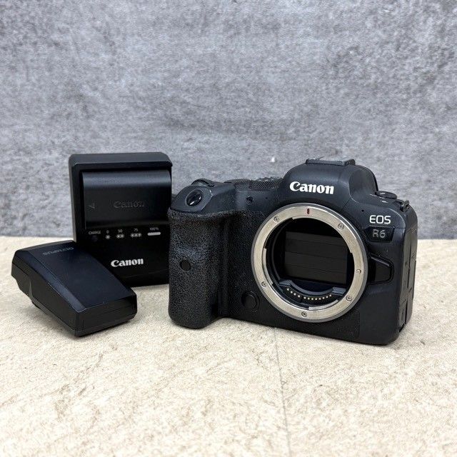 デジタル一眼レフカメラ 【中古】動作保証 CANON キャノン EOS R6