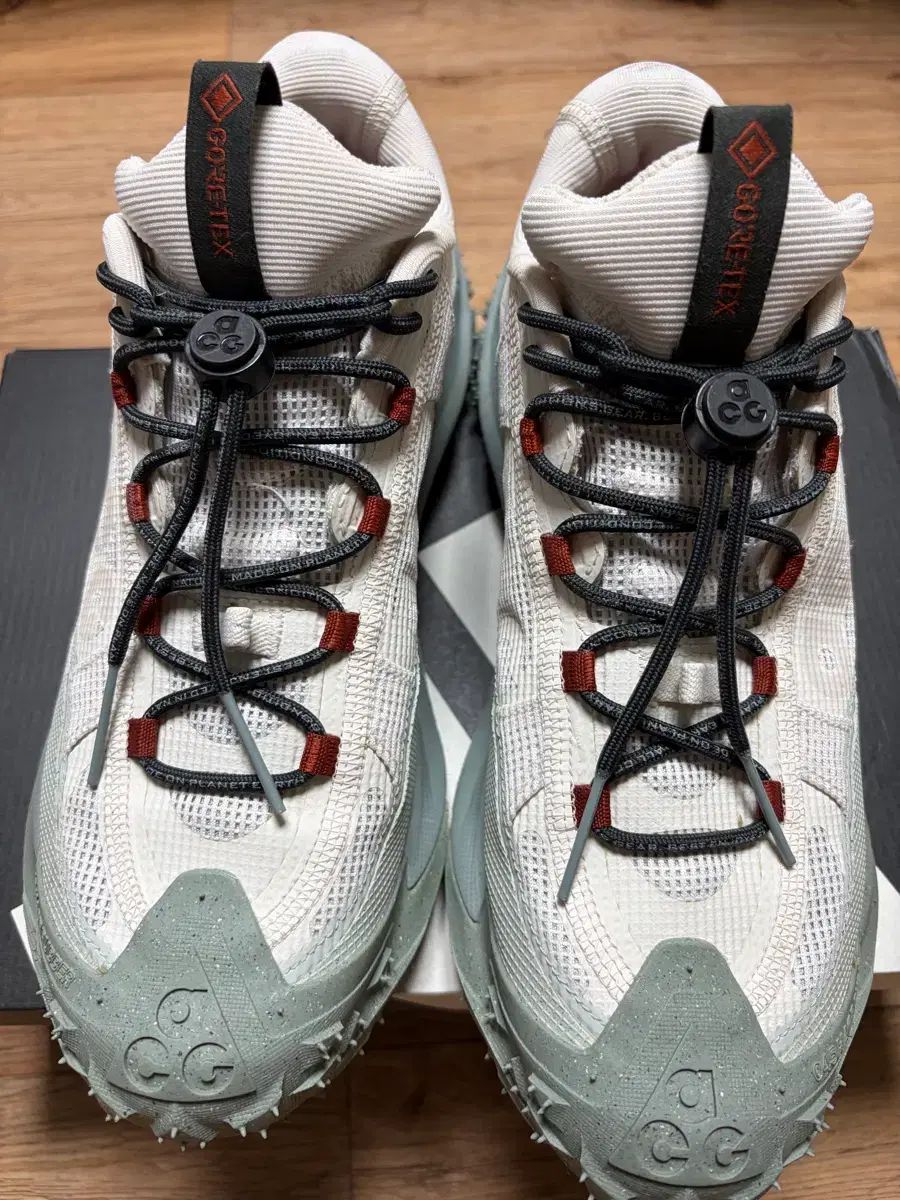 ナイキ ACG マウンテン フライ 2 ロー GORE-TEX