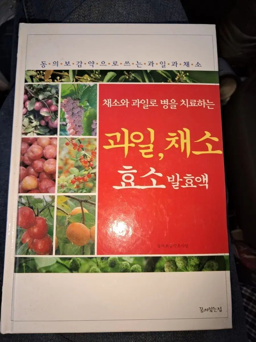 果物 野菜 酵素 発酵液 健康 料理本
