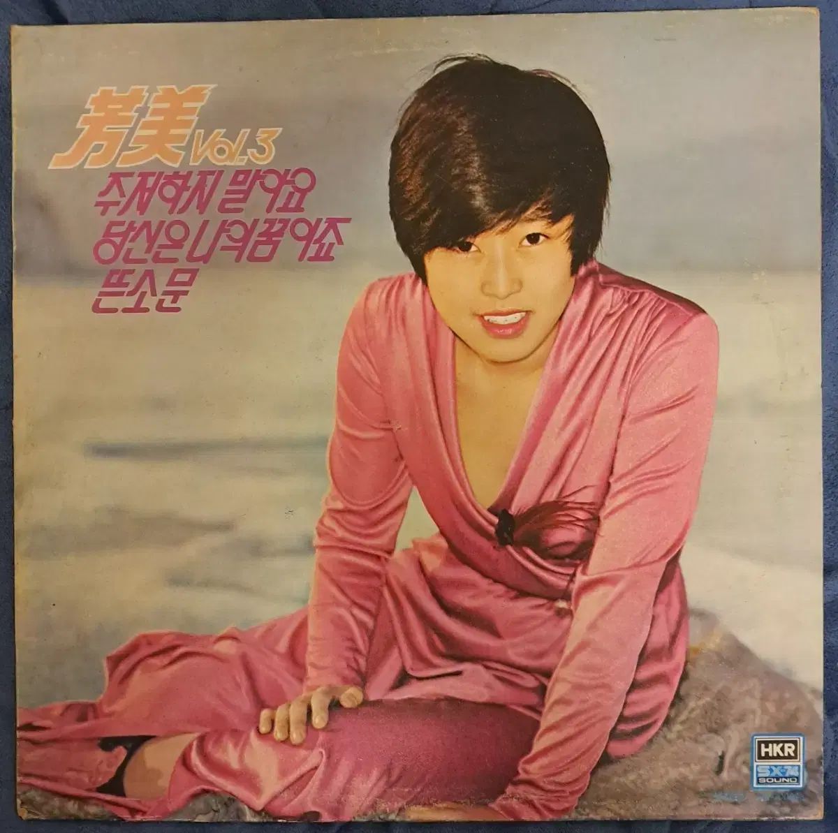 LP バンミ ( vol 3 ) 出品