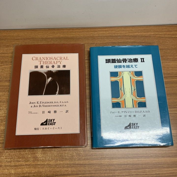 ▲01)【1点限り!】頭蓋仙骨治療+硬膜を越えて 2冊セット/ジョン・Ｅ・アプレジャー/スカイ・イースト/A
