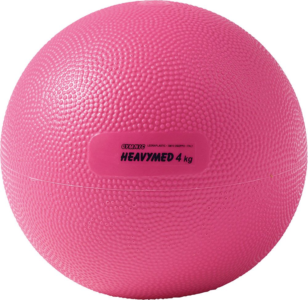 ダンノ DANNO ヘビーメディシン4kg D5978 D5978 -