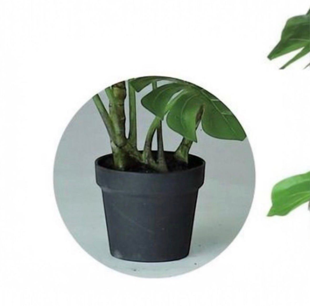 光触媒 人工観葉植物 ウォールグリーン フェイクグリーン ワイルド