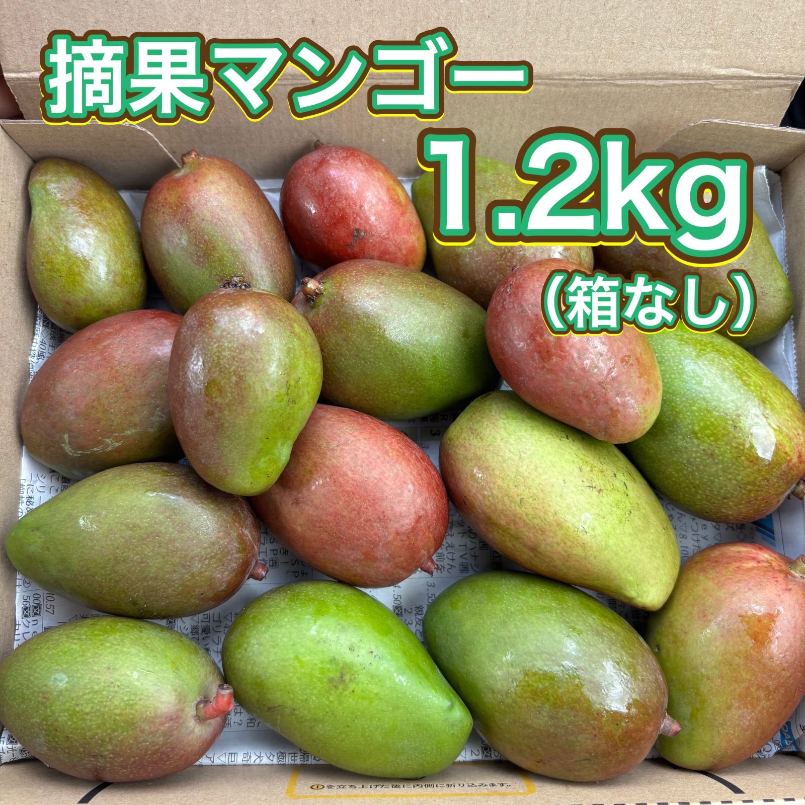 摘果マンゴー2/27❷ 沖縄県産 摘果マンゴー グリーンマンゴー 約1.2kg コンパクトBOX