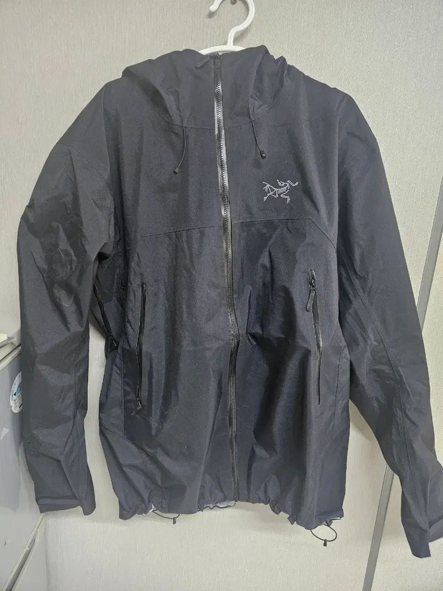 ARC'TERYX アークテリクス ベータ SL