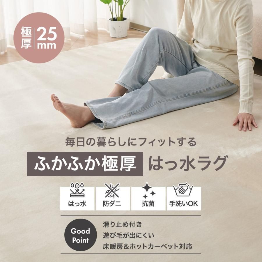 #3120 ラグ カーペット ライトグレー 185cm×240cm 約2.5畳 厚手 洗える フランネル 撥水 ラグマット 長方形 床暖房 防ダニ 滑り止め付 ※一部地域離島別途配送料有 #3120 ラグ カーペット ライトグレー 185cm×240cm 約2.5畳 厚手 洗える フランネル 撥水 ラグマット 長方形 床暖房 防ダニ 滑り止め付 ※一部地域離島別途配送料有
