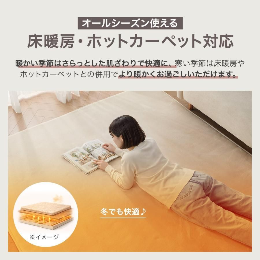#3120 ラグ カーペット ライトグレー 185cm×240cm 約2.5畳 厚手 洗える フランネル 撥水 ラグマット 長方形 床暖房 防ダニ 滑り止め付 ※一部地域離島別途配送料有 #3120 ラグ カーペット ライトグレー 185cm×240cm 約2.5畳 厚手 洗える フランネル 撥水 ラグマット 長方形 床暖房 防ダニ 滑り止め付 ※一部地域離島別途配送料有