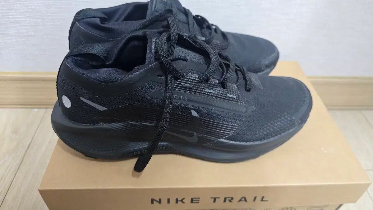 ナイキ トレイル ペガサス 41 ゴアテックス
