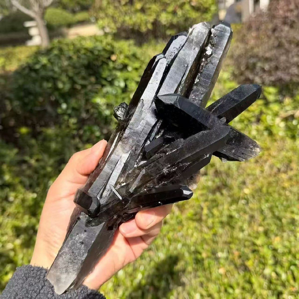 AAAA級魔除け天然モリオン黒水晶クラスターB0317/YS/GS57/529C 山東省産 モリオン 純天然 黒水晶 クラスター t728-2344 : 誠安天然石