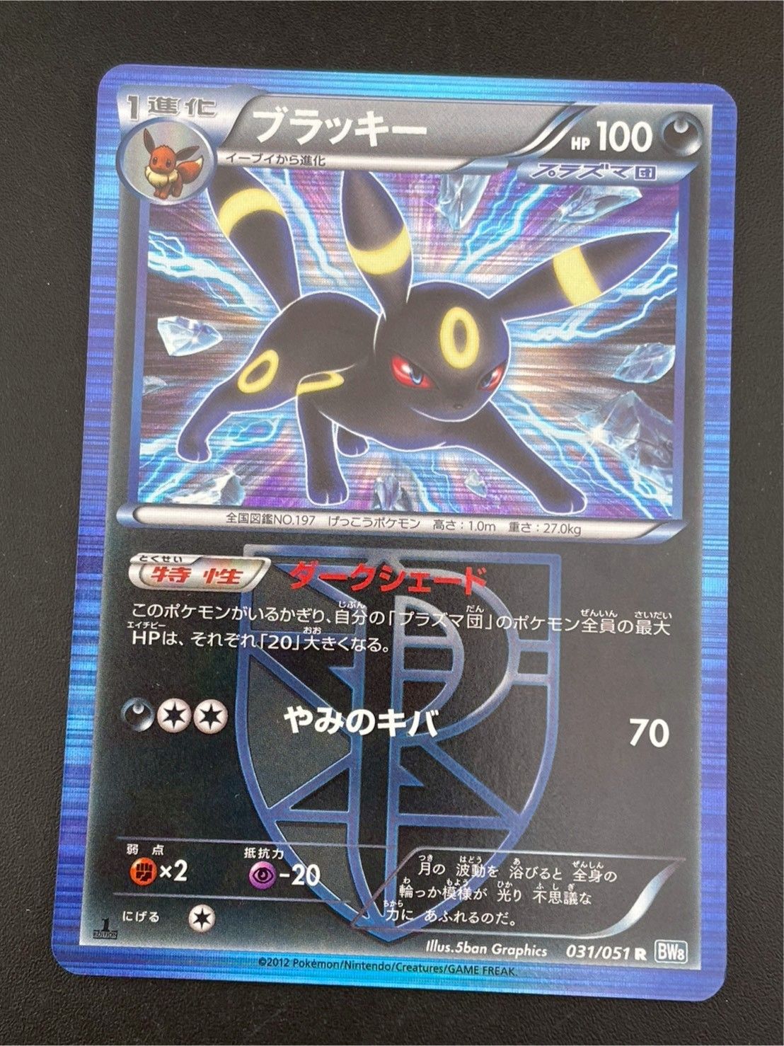 中古品】 ブラッキー 031/051 R BW8 ライデンナックル ポケモンカード 