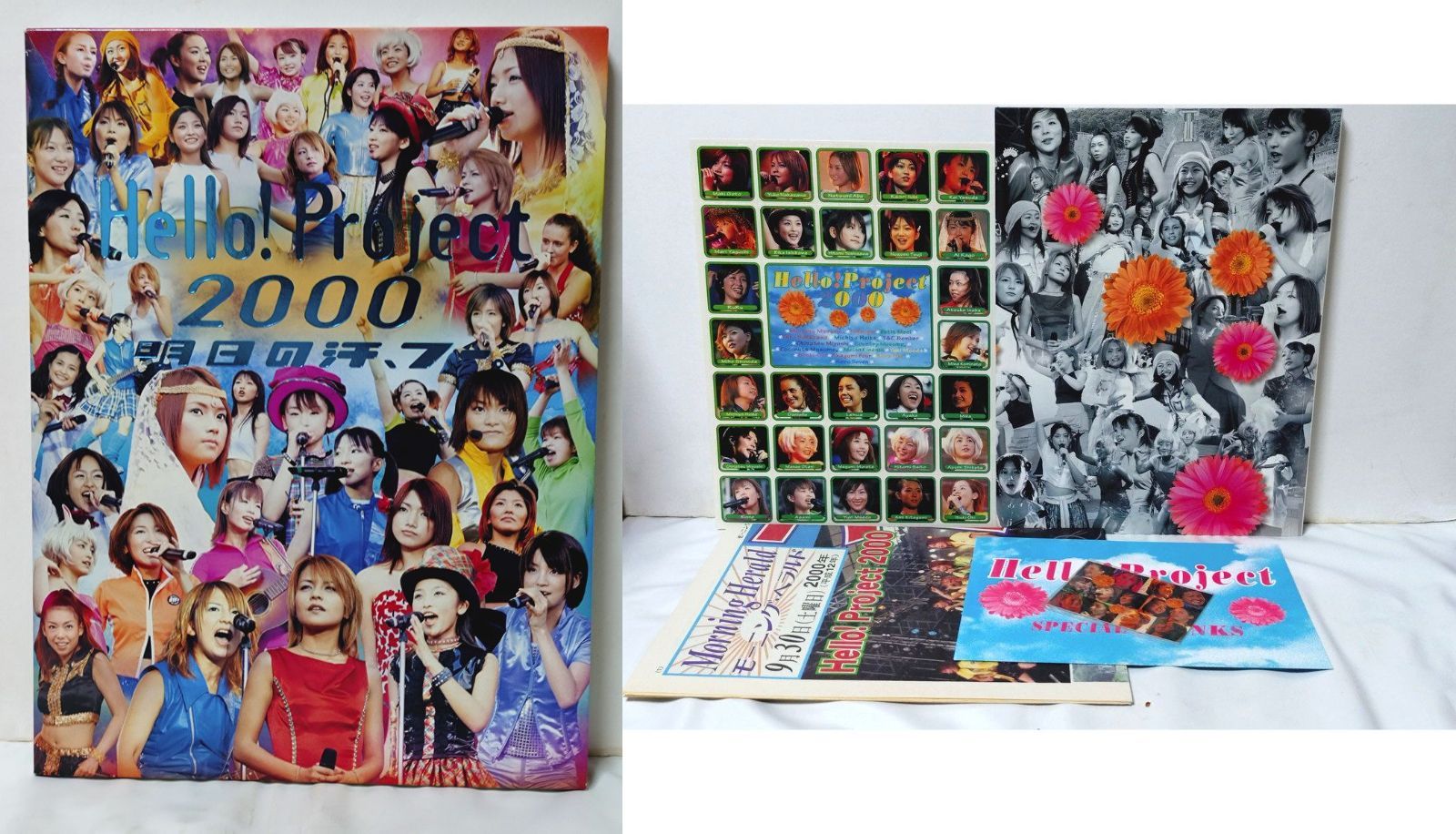 モーニング娘。 初期(1～6期)メンバー写真集・単行本 17冊セット