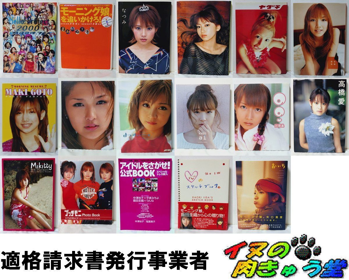 モーニング娘。 初期(1～6期)メンバー写真集・単行本 17冊セット
