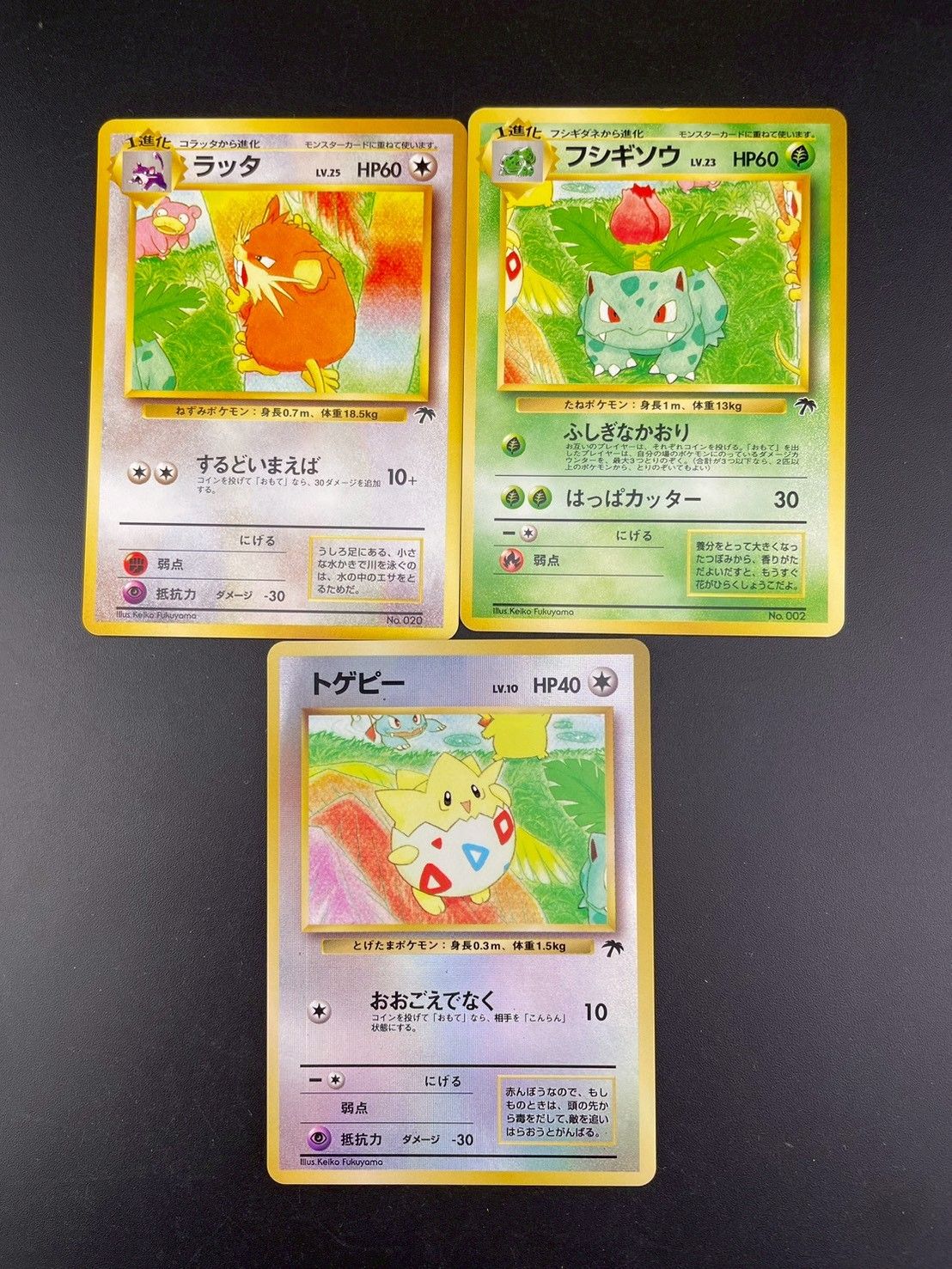 中古品】 サザンアイランド トロピカルアイランド レインボー