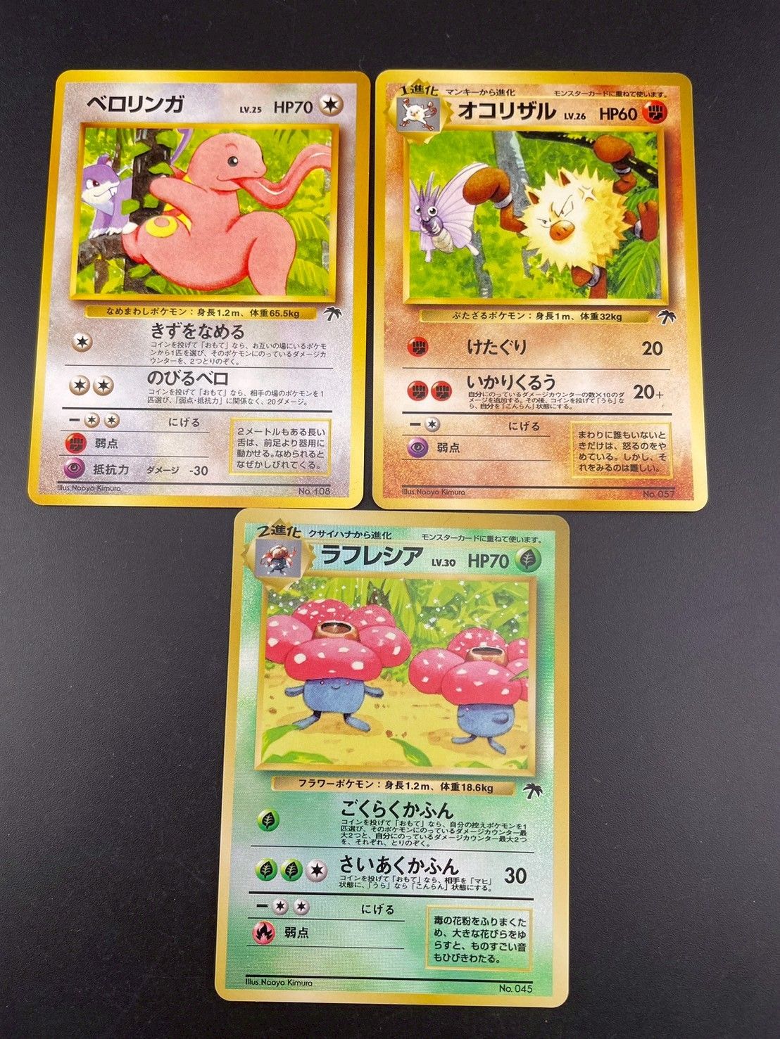 中古品】 サザンアイランド トロピカルアイランド レインボー