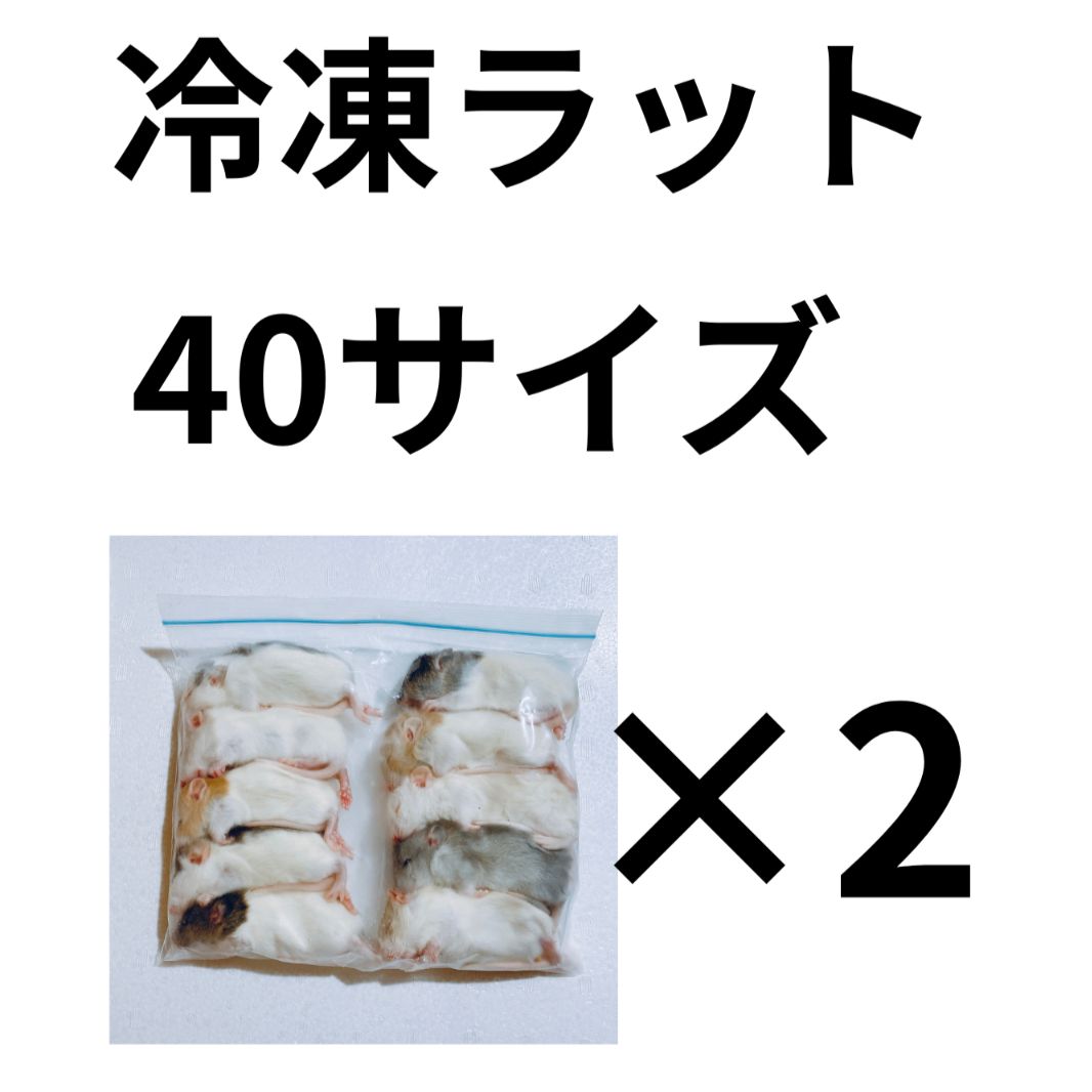 冷凍ラット　40サイズ　＜2袋＞