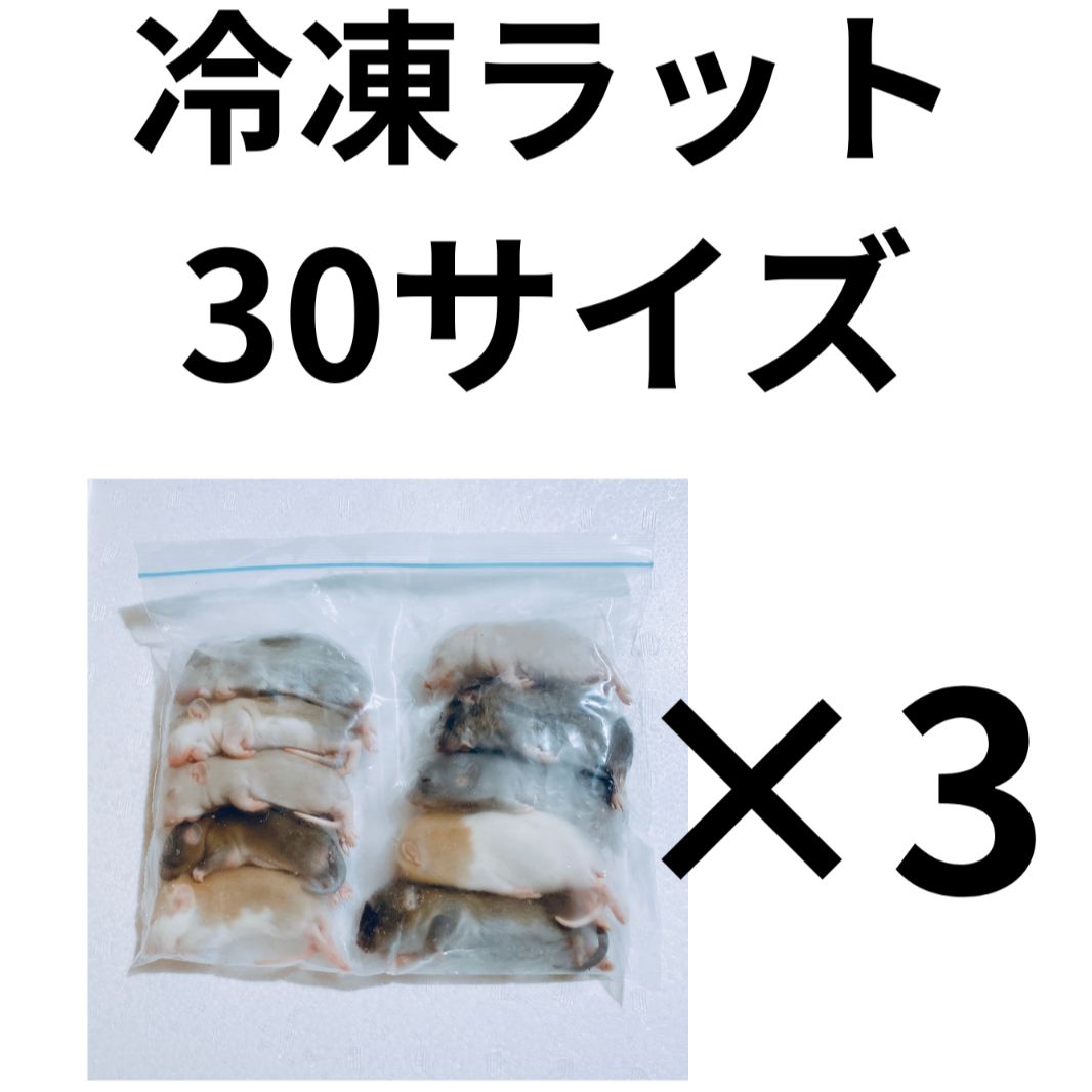 冷凍ラット　30サイズ　＜3袋＞