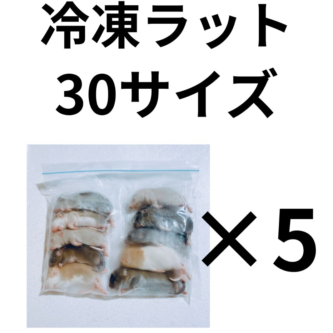 冷凍ラット　30サイズ　＜5袋＞