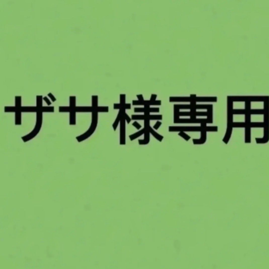 ザサ様専用