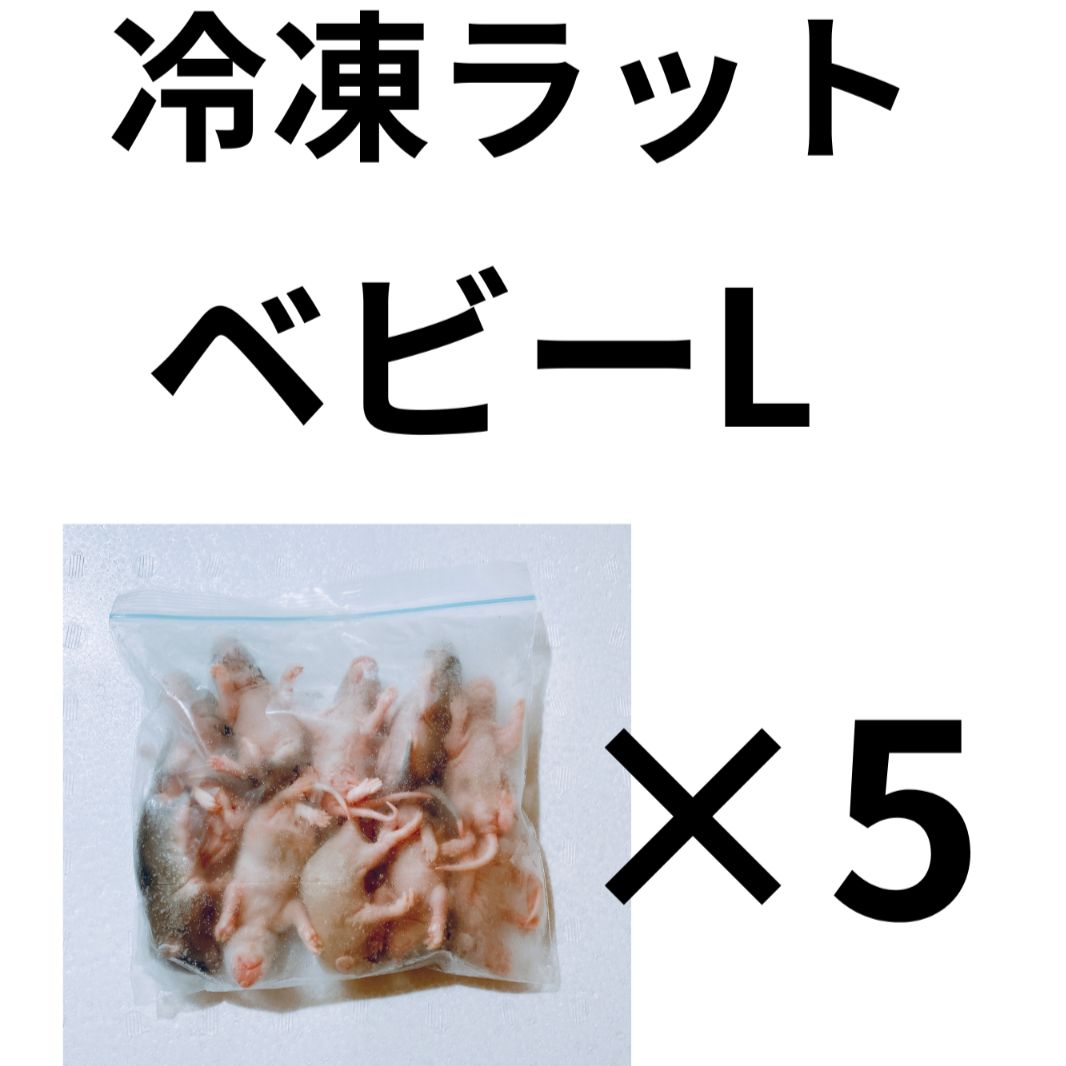 冷凍ラット　ベビーLサイズ　＜5袋＞