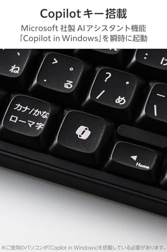 ☆新品☆エレコム ワイヤレスキーボード 静音 フルサイズ テンキー付 無線2.4GHz Windows macOS ChromeOS メンブレン式 ブラック TK-QT11FDMABK 175fa04e
