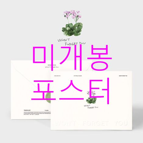 未開封 キム・ソンギュ(KIM SUNGKYU) ー Won ' t Forget You (ポスター付き) CD ） 10,964円