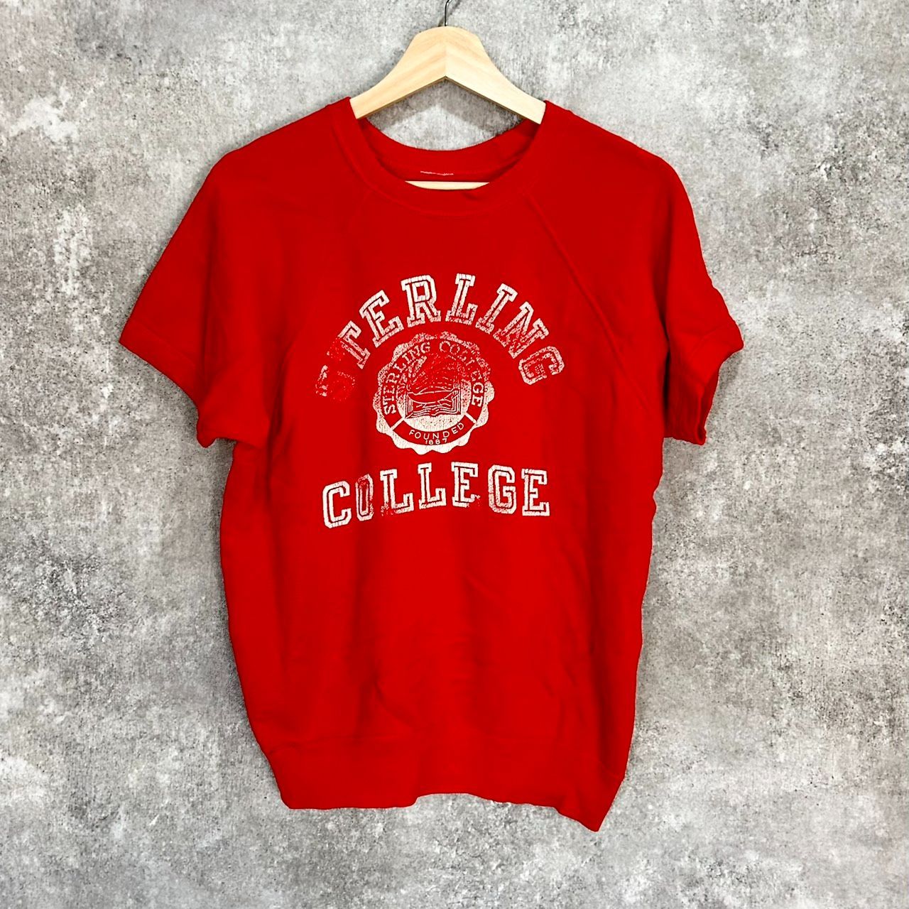 60's STERLING COLLEGE S/S VINTAGE SWEAT スターリング 大学 半袖 ヴィンテージ スウェット ヴィンスウェ 4本針 カレッジプリント 60年代 60s 赤 レッド