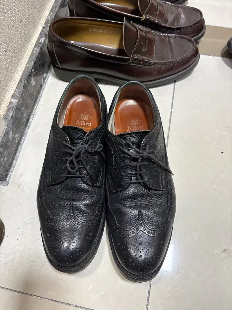 ALDEN オールデン 97721 ウイングチップ ダービーシューズ