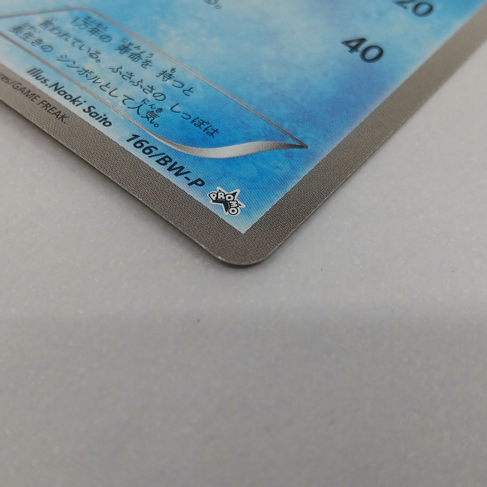ポケカ カメール プロモ[P] 166/BW-P ポケモンカード トレカ