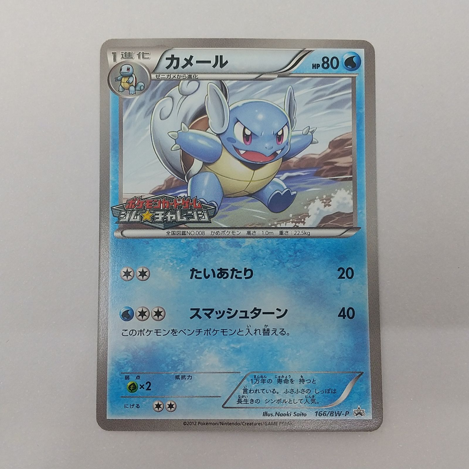 ポケカ カメール プロモ[P] 166/BW-P ポケモンカード トレカ トレーディングカード ジム☆チャレンジ 2605BXth56