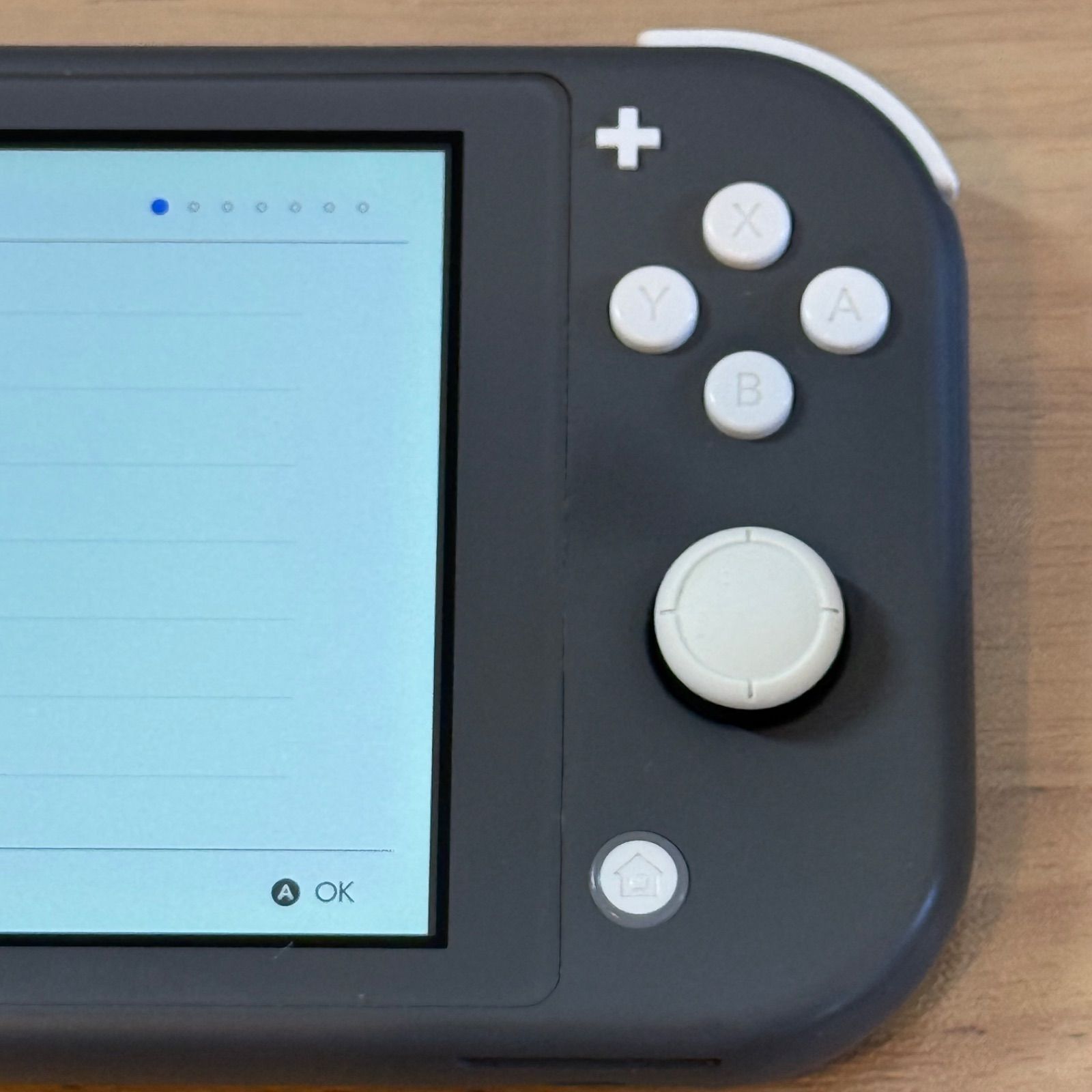 5-040 Switch LITE グレー 完動品 5-040 Switch LITE グレー 完動品