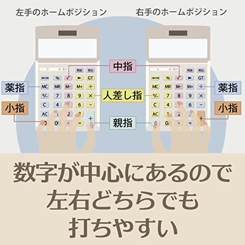 カシオ 本格実務電卓 12桁 検算機能 デスクタイプ DS-20WKA-N グリーン購入法適合 エコマーク認定送料無料 43c8442b カシオ 本格実務電卓 12桁 検算機能 デスクタイプ DS-20WKA-N グリーン購入法適合 エコマーク認定送料無料 43c8442b