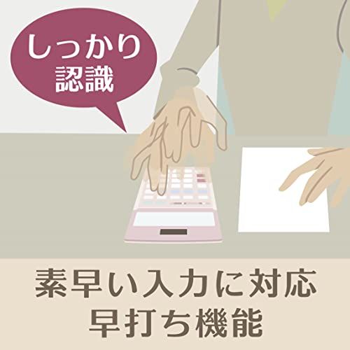 カシオ 本格実務電卓 12桁 検算機能 デスクタイプ DS-20WKA-N グリーン購入法適合 エコマーク認定送料無料 43c8442b カシオ 本格実務電卓 12桁 検算機能 デスクタイプ DS-20WKA-N グリーン購入法適合 エコマーク認定送料無料 43c8442b