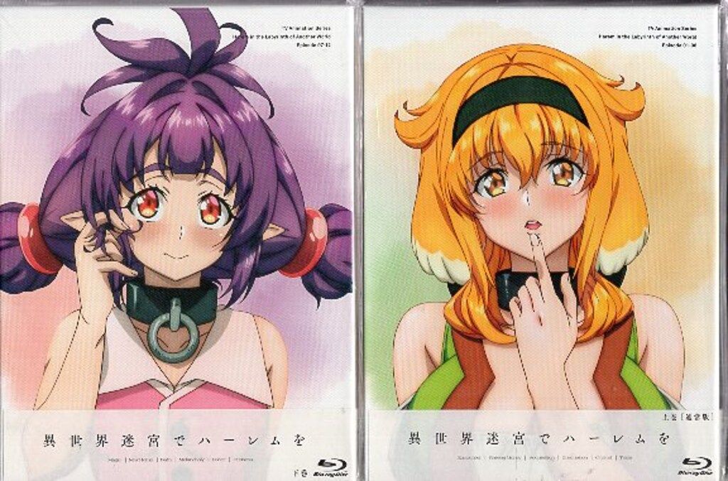 KADOKAWAアニメーション アニメBlu-ray 通常版)異世界迷宮でハーレムを Blu-ray BOX 全2BOX セット