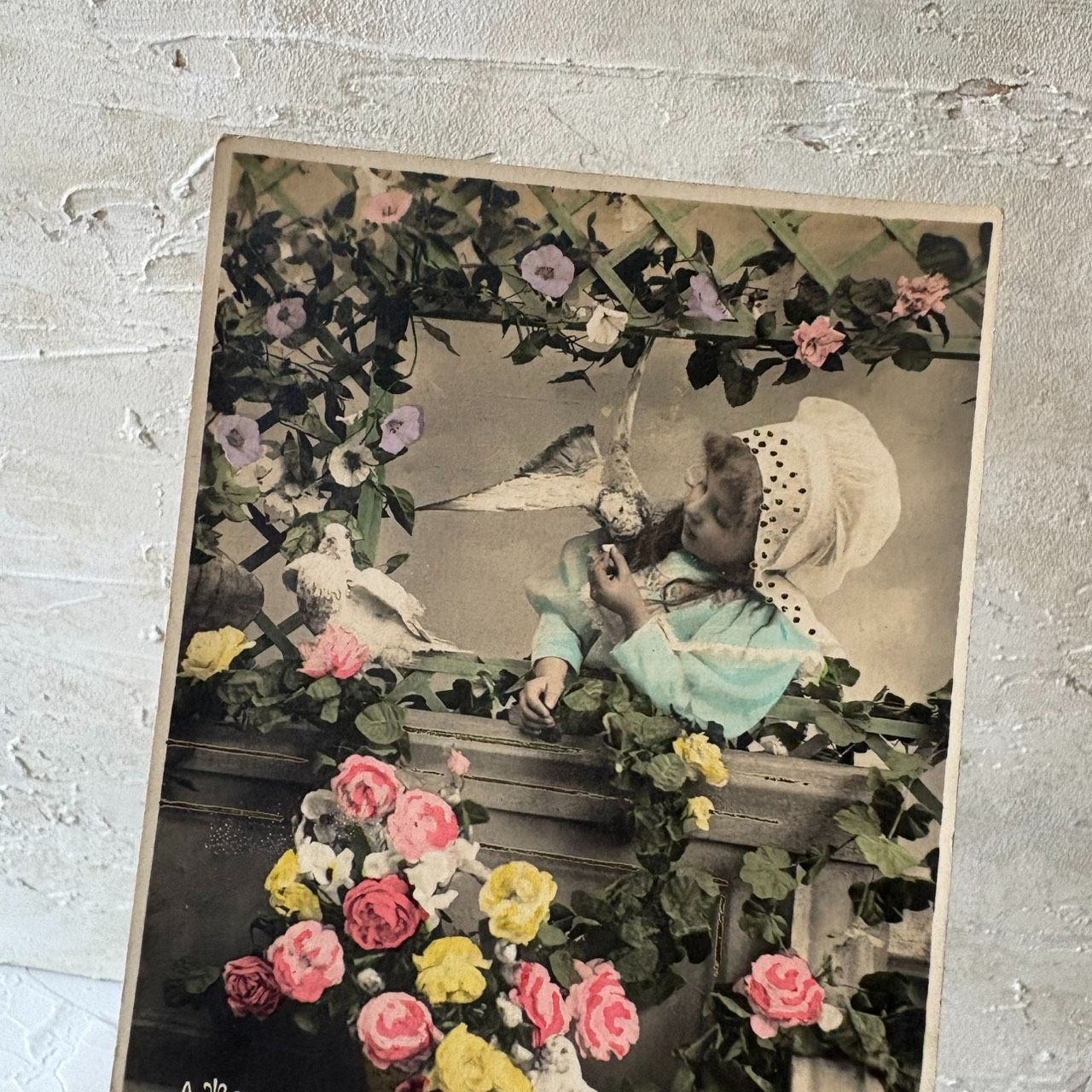 フランス アンティークポストカード 少女と鳩 BONNE FÊTE 手彩色 薔薇 
