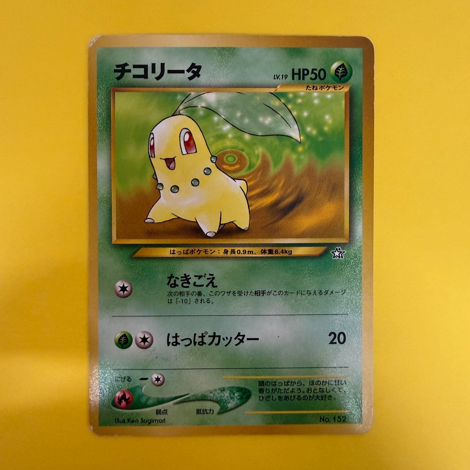 旧裏）チコリータ LV19 HP50 - メルカリ