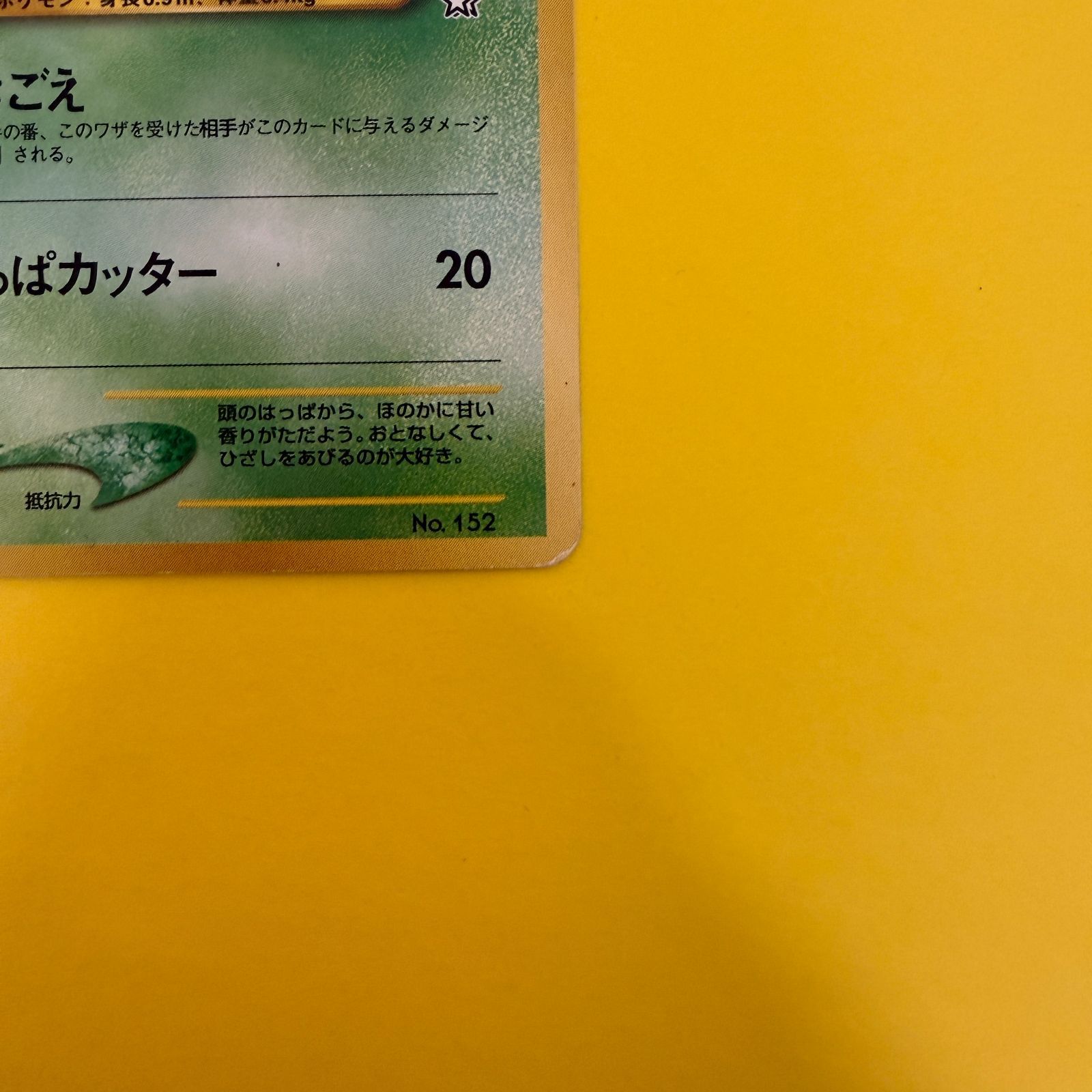 旧裏）チコリータ LV19 HP50 - メルカリ