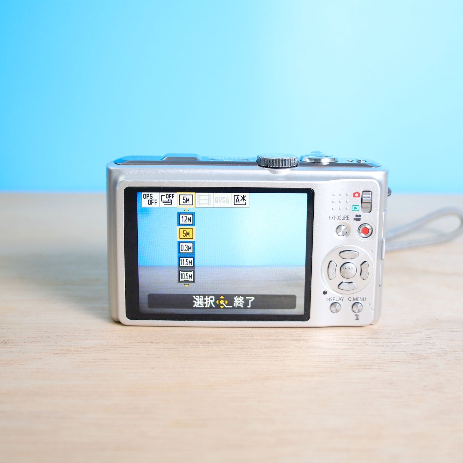 完動品❁美品 Panasonic DMC-TZ10 パナソニック オールドコンデジ 