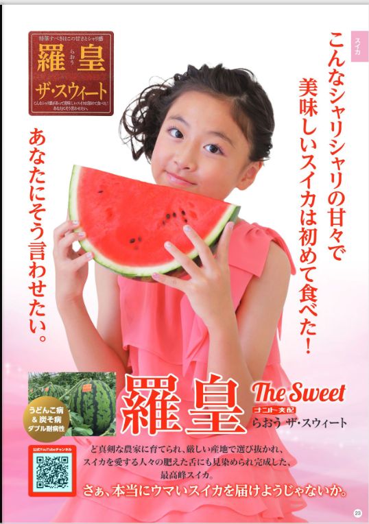 訳あり優品】熊本産 羅皇ザ・スウィート 6-7kg 2玉 - メルカリ