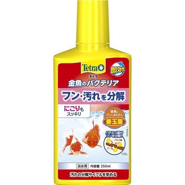 (まとめ）テトラ 金魚のバクテリア 250ml（ペット用品）〔×6セット〕