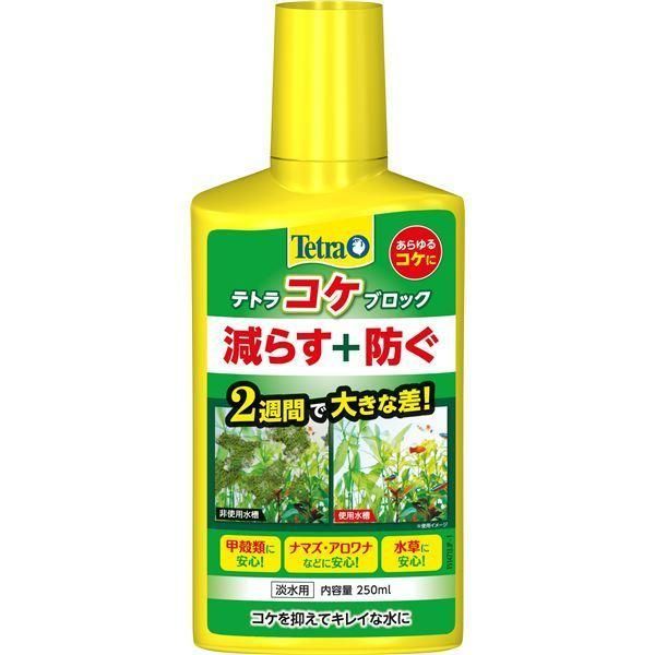 (まとめ）テトラ コケブロック 250ml（ペット用品）〔×6セット〕