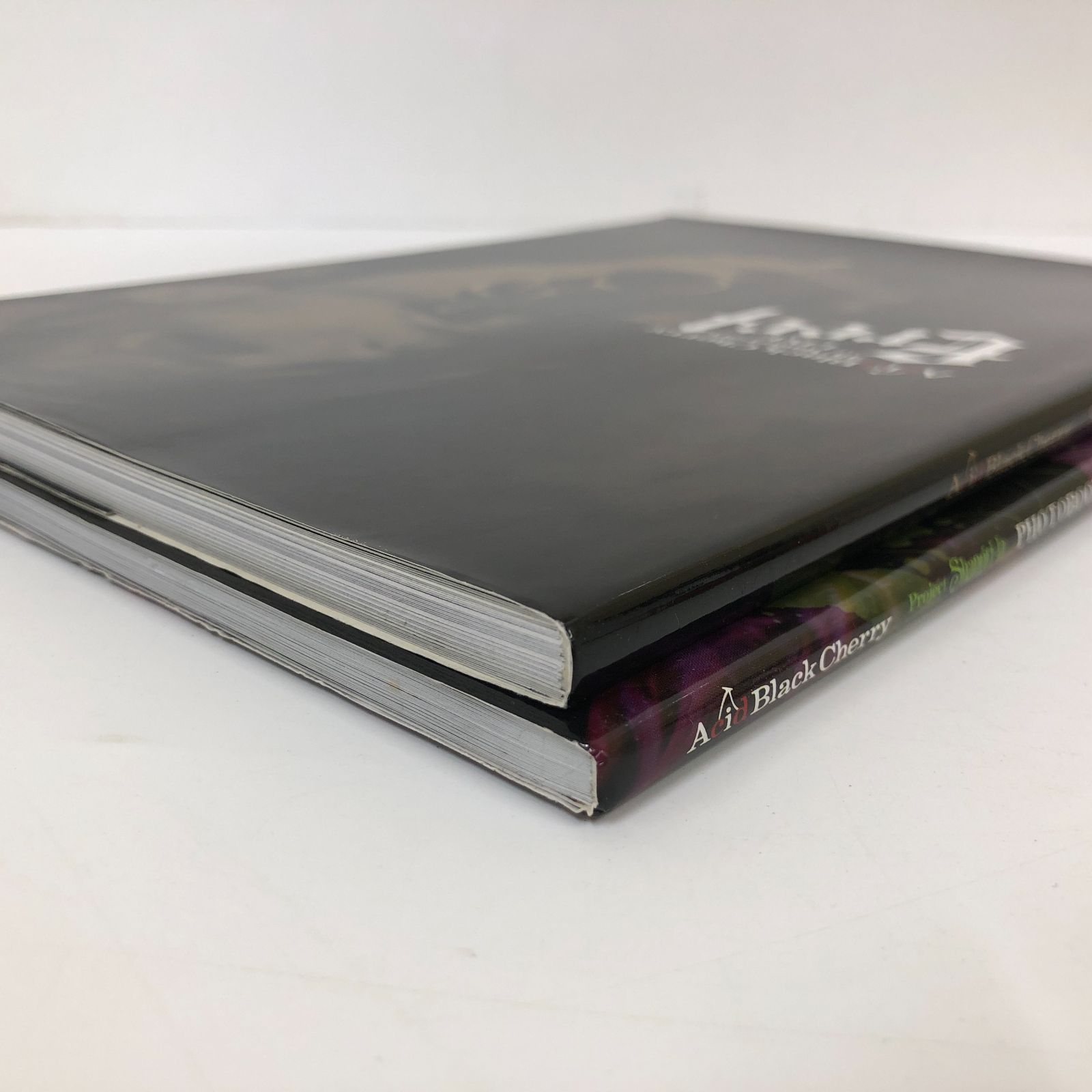 ◇[N]2冊セット Acid Black Cherry Shangri-la Photo book/5th