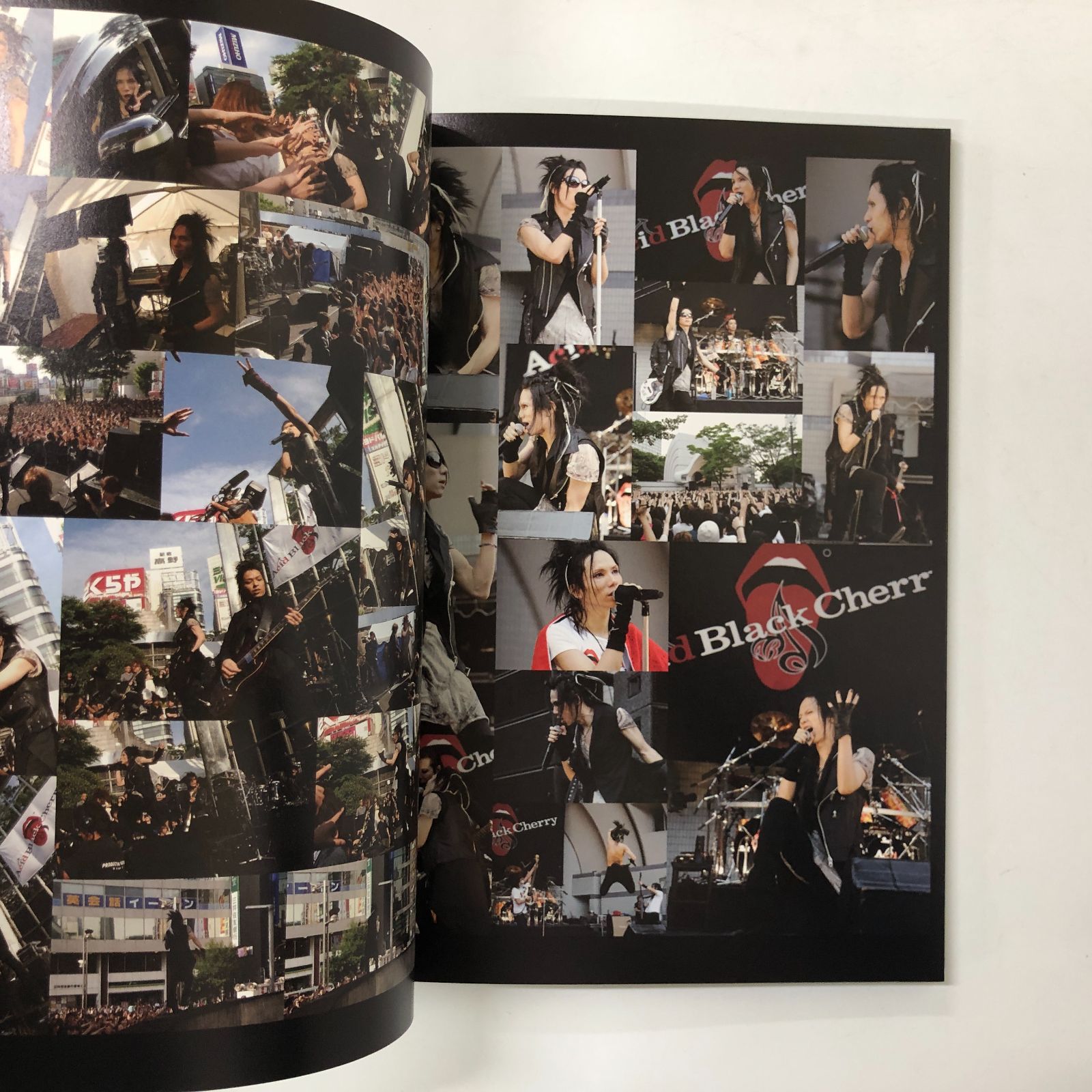 ◇[N]2冊セット Acid Black Cherry Shangri-la Photo book/5th