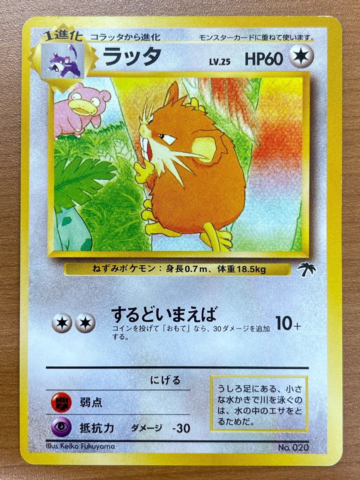 【PSA10】ラッタ 旧裏 LV.25 No.020 PSA10】ラッタ 旧裏 LV.25 No.020 PSA10】ラッタ 旧裏 LV.25 No.020