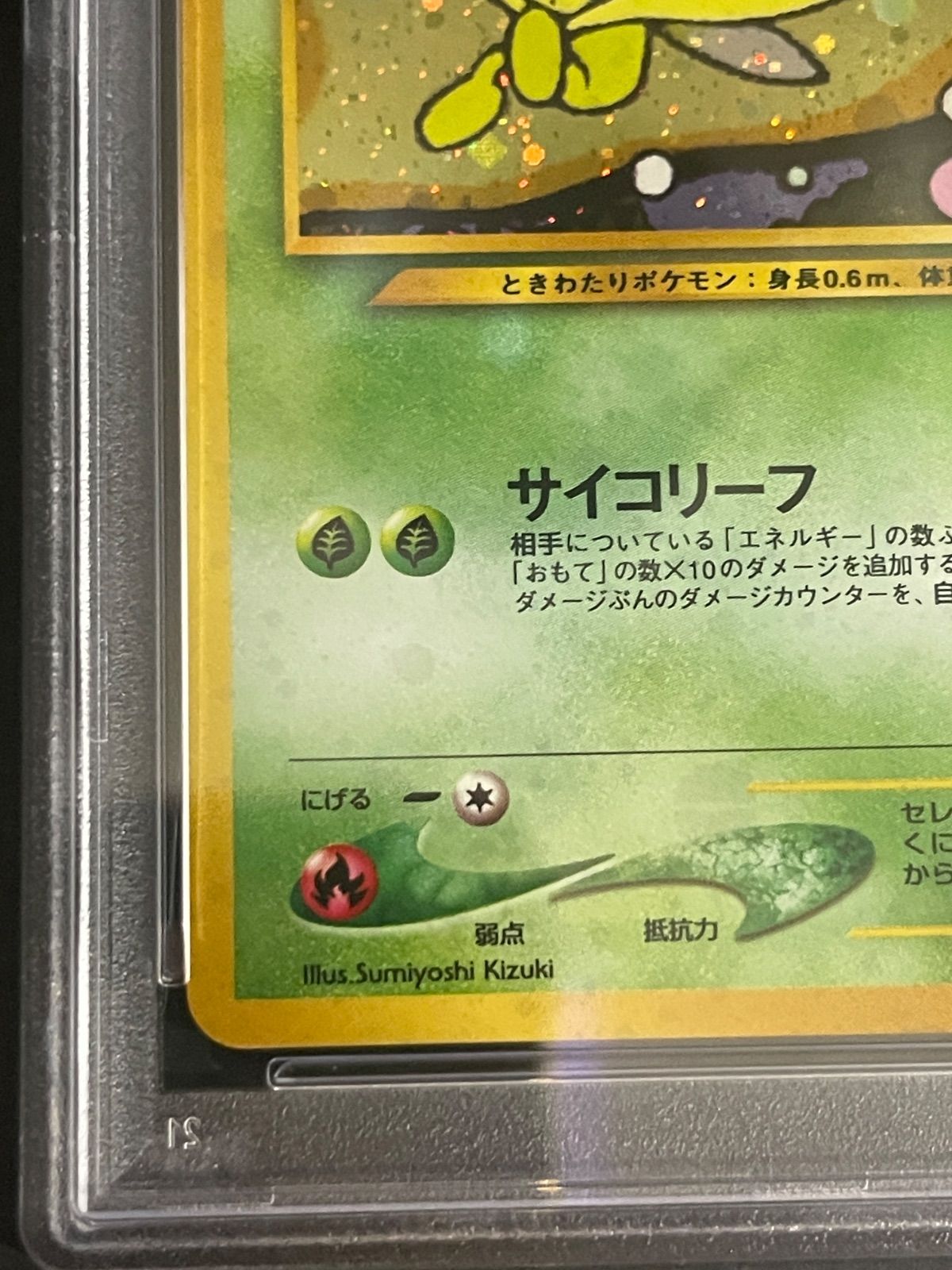 ポケモンカード 2000年 セレビィ 旧裏 プロモ プレミアファイル3 PSA10