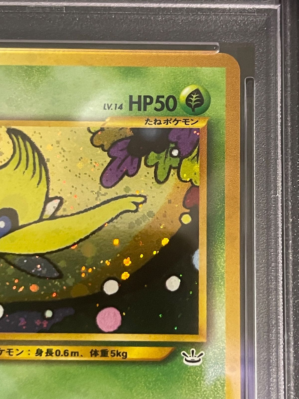 ポケモンカード 2000年 セレビィ 旧裏 プロモ プレミアファイル3 PSA10