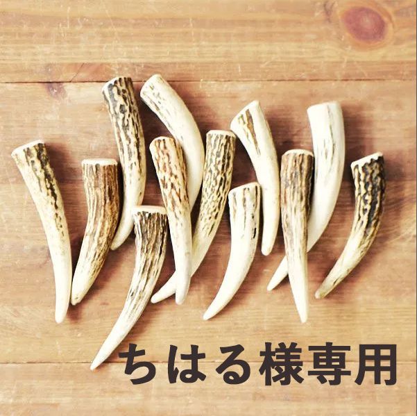 ちはる様専用