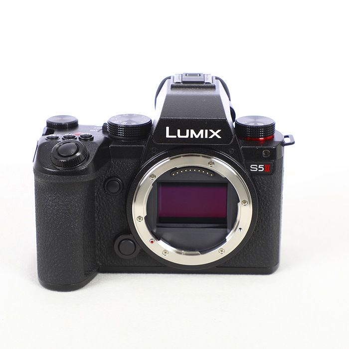 【中古】(パナソニック) Panasonic DC-S5M2