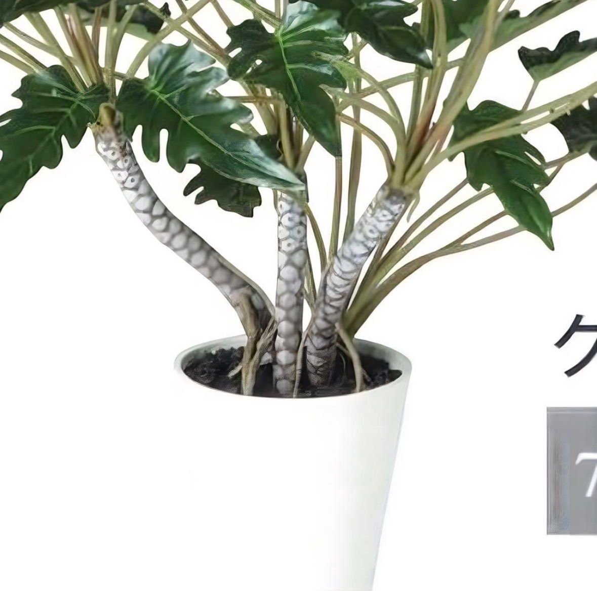 光触媒 人工観葉植物 ウォールグリーン フェイクグリーン クッカバラ
