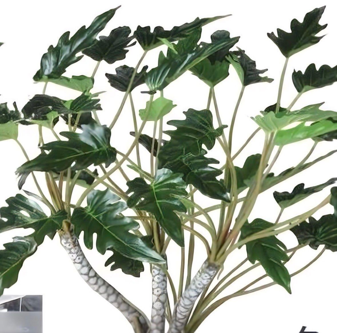光触媒 人工観葉植物 ウォールグリーン フェイクグリーン クッカバラ